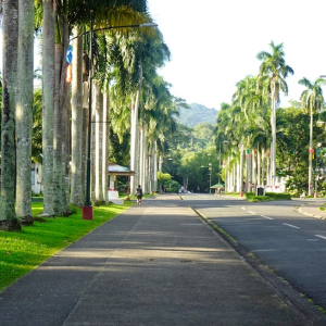 campus life gallery 2 1