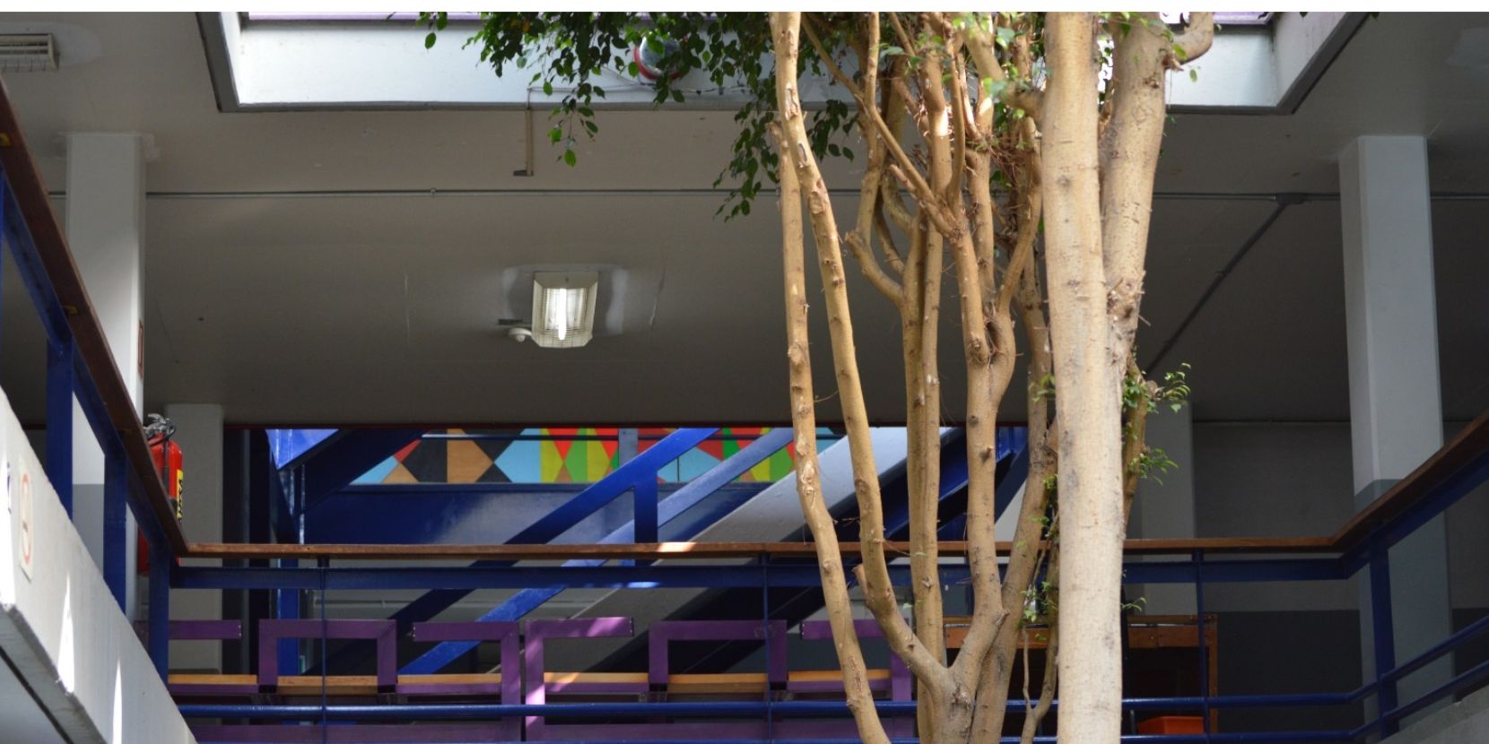 Fotos de escuelas encuadre 2025